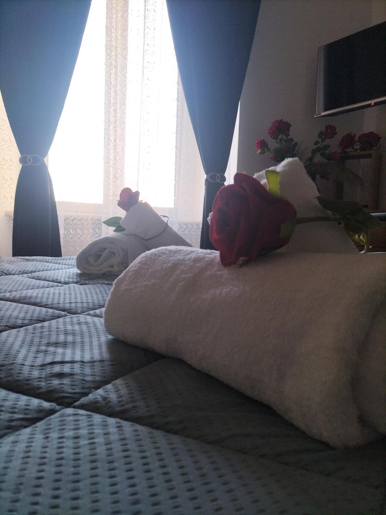 Apartment Red Roses Domus Rom