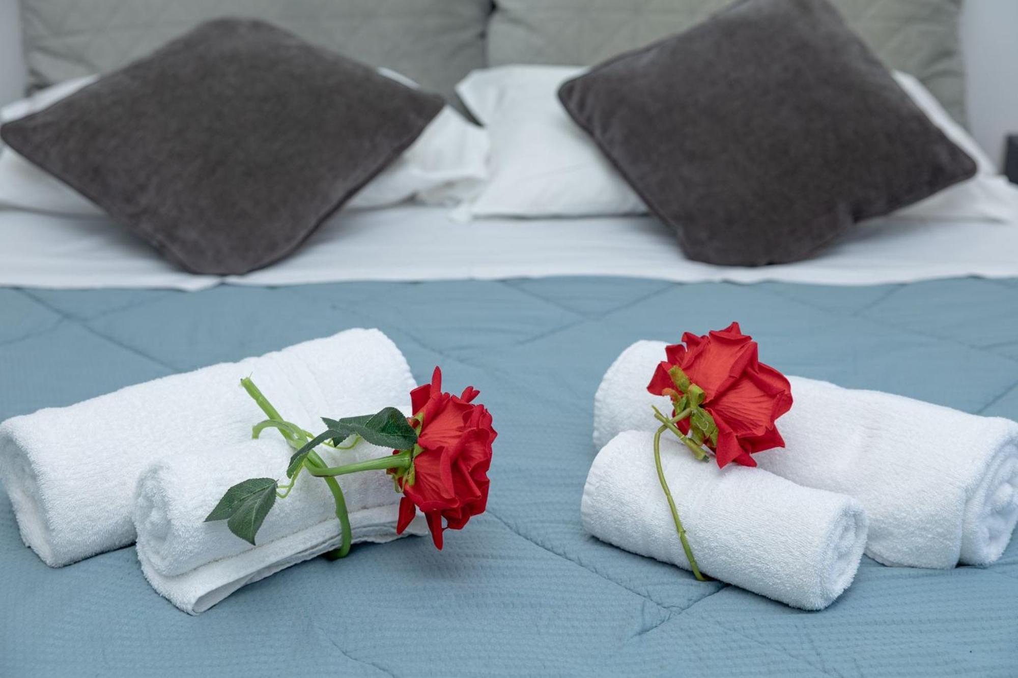 Red Roses Domus Rom