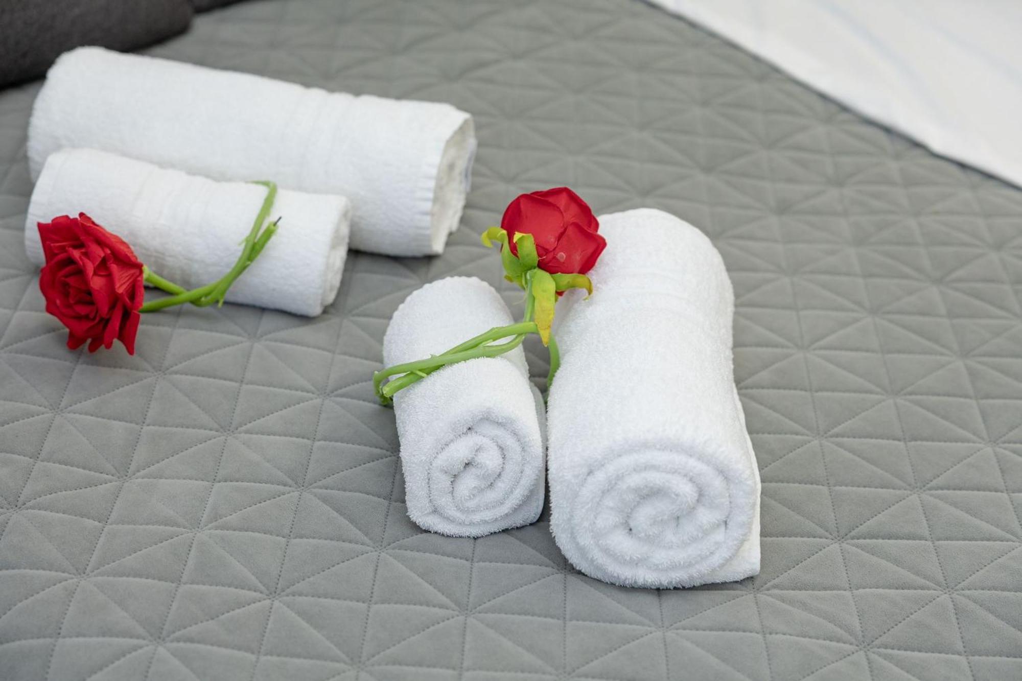 Apartment Red Roses Domus Rom