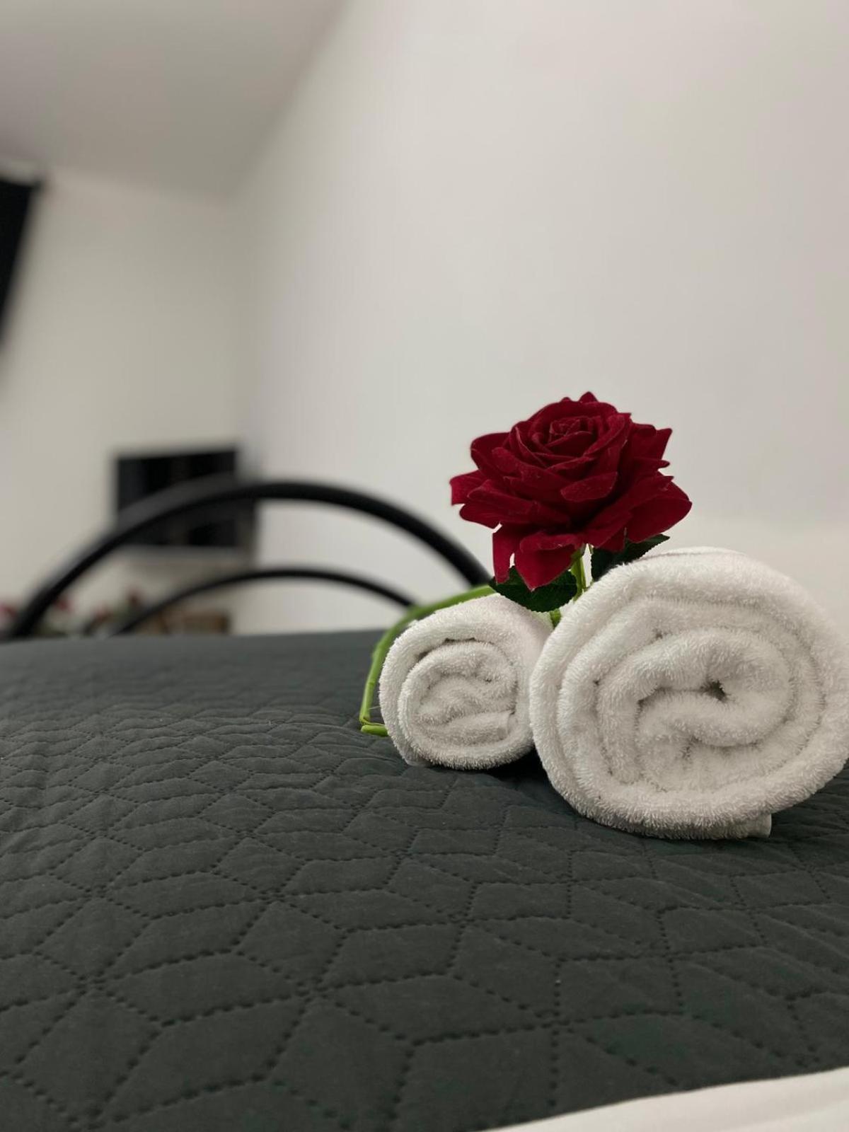 Red Roses Domus Lägenhet